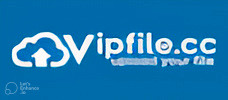vipfile logo